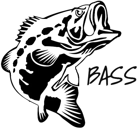 снимка 1 от проект BASS - Bulgarian Automated Smart Sonar