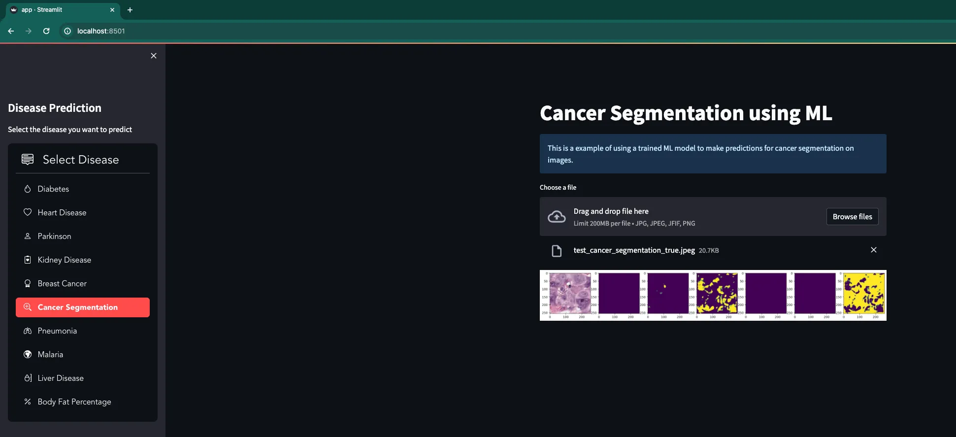 снимка 1 от проект Diagnosify