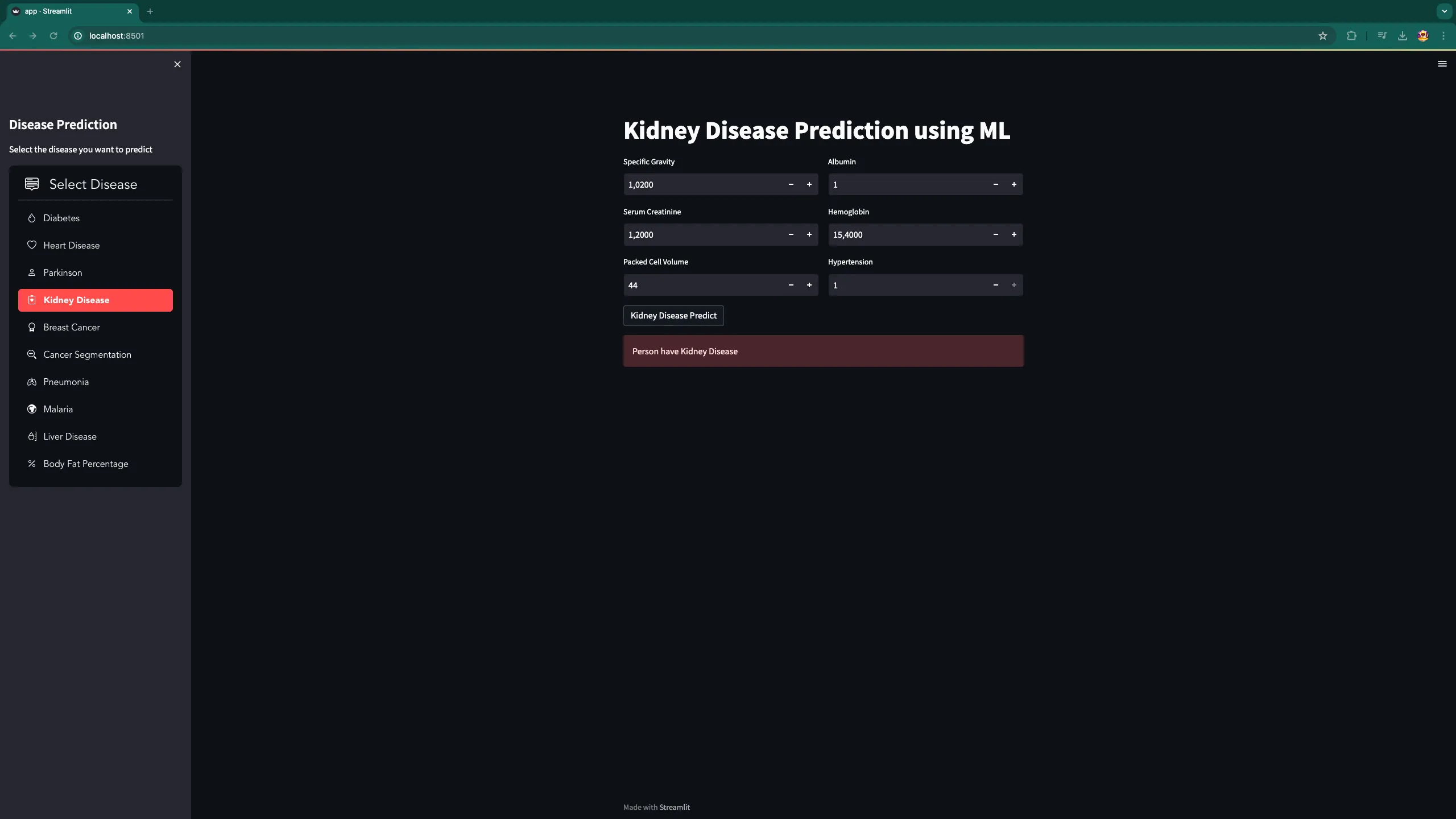 снимка 3 от проект Diagnosify