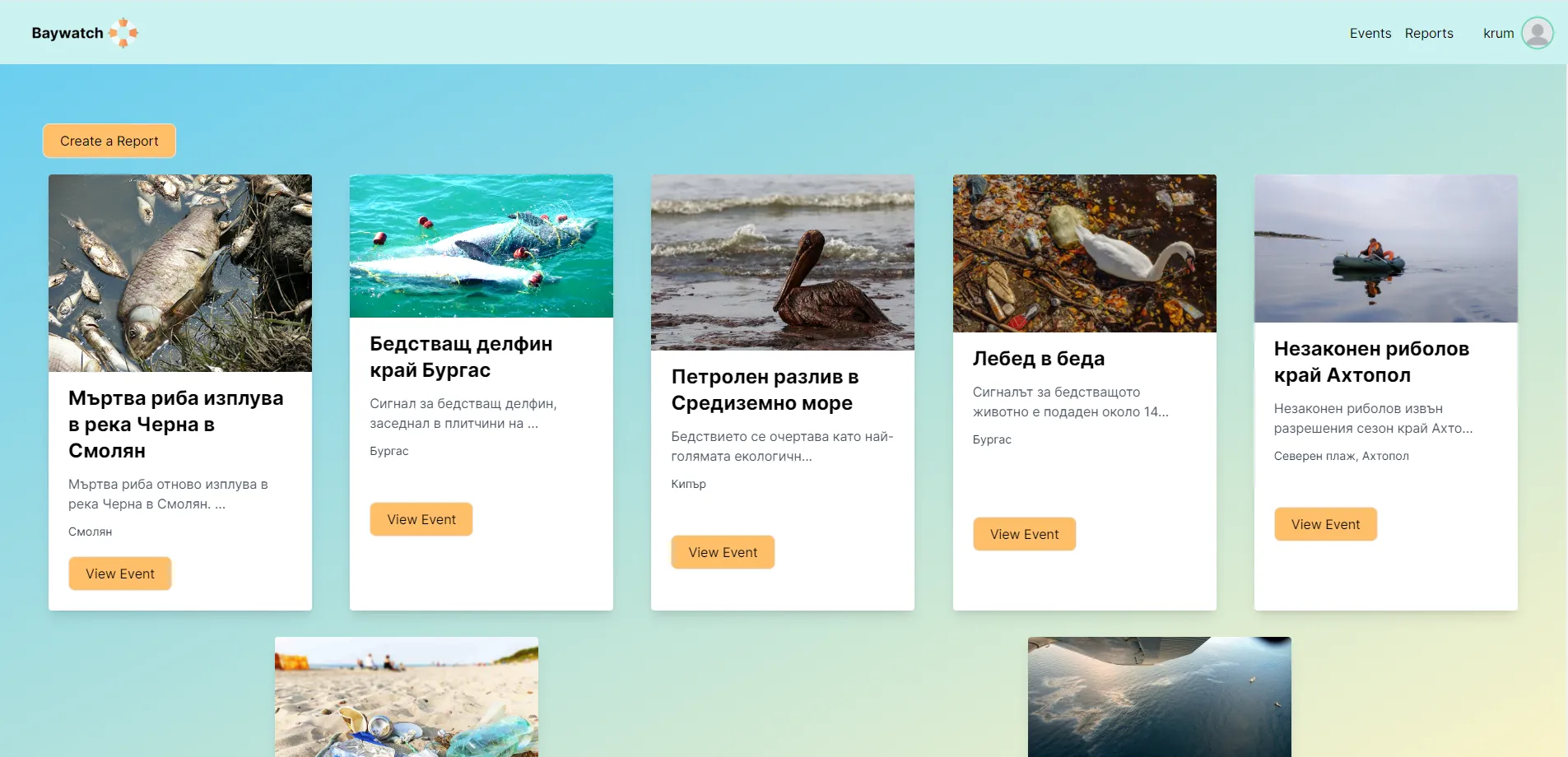 снимка 3 от проект BayWatch