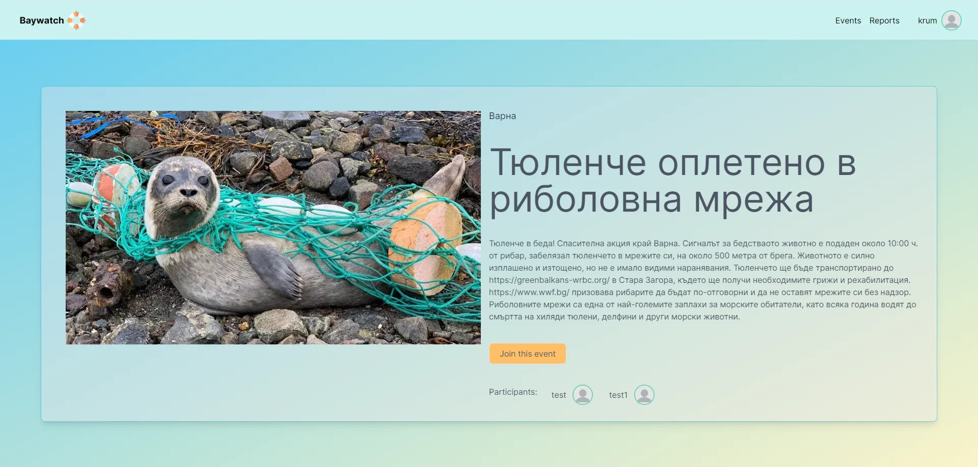 снимка 4 от проект BayWatch